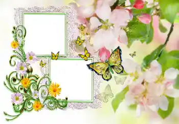 Kesan foto daripada kategori Pelbagai kanak-kanak № 115846. Tulisan pada bingkai: Tahniah! Kesan foto daripada kategori Pelbagai kanak-kanak № 115846. Tulisan pada bingkai: Tahniah!