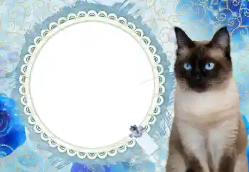 Kesan foto daripada kategori Kalendar № 117588. Tulisan pada bingkai: 2026 Kesan foto daripada kategori Kalendar № 117588. Tulisan pada bingkai: 2026