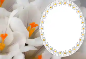 Kesan foto daripada kategori Kalendar № 80371. Tulisan pada bingkai: 2026 Kesan foto daripada kategori Kalendar № 80371. Tulisan pada bingkai: 2026