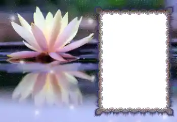 Kesan foto daripada kategori Pelbagai № 112532