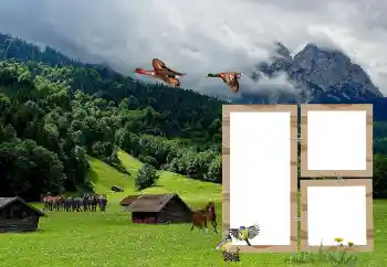 Kesan foto daripada kategori Pelbagai № 118908