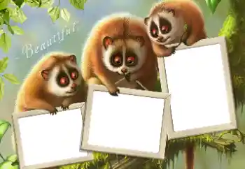 Kesan foto daripada kategori Pelbagai № 124434