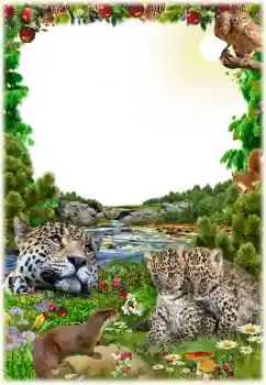 Kesan foto daripada kategori Pelbagai № 125652