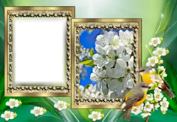 Kesan foto daripada kategori Pelbagai № 130650
