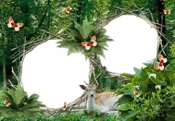 Kesan foto daripada kategori Pelbagai № 150465