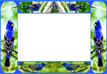 Kesan foto daripada kategori Pelbagai № 154514 Kesan foto daripada kategori Pelbagai № 154514