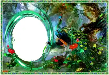 Kesan foto daripada kategori Pelbagai № 154704