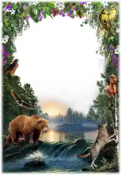 Kesan foto daripada kategori Pelbagai № 157061