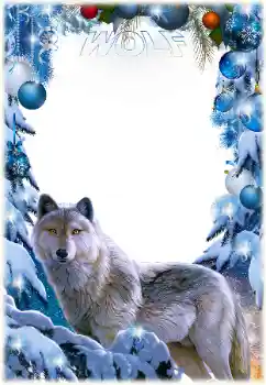Kesan foto daripada kategori Pelbagai № 163432. Tulisan pada bingkai: Wolf