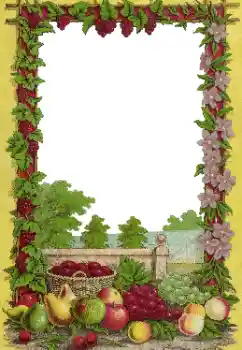 Kesan foto daripada kategori Pelbagai № 174101