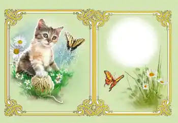 Kesan foto daripada kategori Pelbagai № 182126