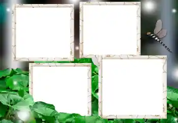 Kesan foto daripada kategori Pelbagai № 182236