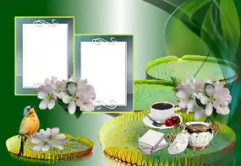 Kesan foto daripada kategori Pelbagai № 185988