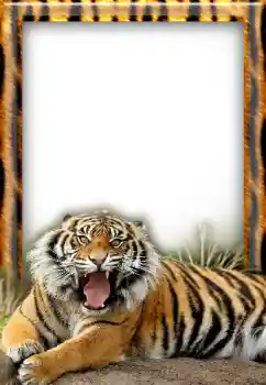 Kesan foto daripada kategori Pelbagai № 20297