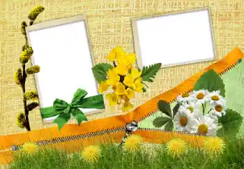 Kesan foto daripada kategori Pelbagai № 24285
