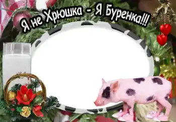 Kesan foto daripada kategori Pelbagai № 40370. Tulisan pada bingkai: Я не Хрюшка - Я Буренка!!!