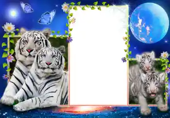 Kesan foto daripada kategori Pelbagai № 4599