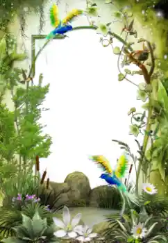 Kesan foto daripada kategori Pelbagai № 64461