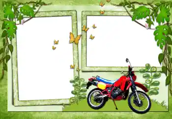 Kesan foto daripada kategori Pelbagai № 72138