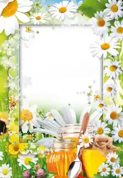 Kesan foto daripada kategori Pelbagai № 73499