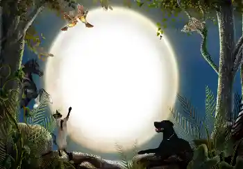 Kesan foto daripada kategori Pelbagai № 7470