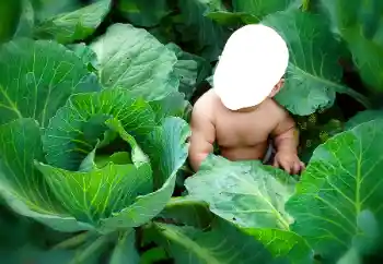 Kesan foto daripada kategori Untuk kanak-kanak № 90533