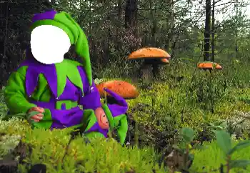 Kesan foto daripada kategori Untuk kanak-kanak № 90549