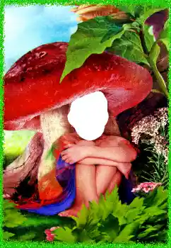 Kesan foto daripada kategori Untuk kanak-kanak № 96367