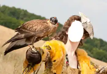 Kesan foto daripada kategori Untuk wanita № 61598