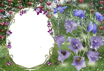 Kesan foto daripada kategori Bingkai untuk pasangan bercinta № 131799