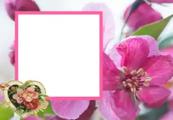 Kesan foto daripada kategori Bingkai untuk pasangan bercinta № 43593