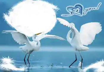 Kesan foto daripada kategori Bingkai untuk pasangan bercinta № 60198. Tulisan pada bingkai: I love you!