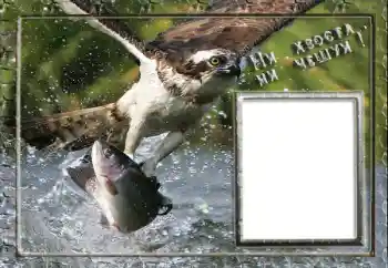 Kesan foto daripada kategori Bingkai foto lelaki № 88119. Tulisan pada bingkai: Memancing Kesan foto daripada kategori Bingkai foto lelaki № 88119. Tulisan pada bingkai: Memancing