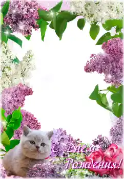 Kesan foto daripada kategori Kad ucapan Hari Lahir № 205692. Tulisan pada bingkai: Selamat Hari Jadi! Kesan foto daripada kategori Kad ucapan Hari Lahir № 205692. Tulisan pada bingkai: Selamat Hari Jadi!