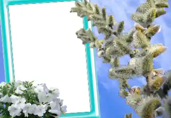 Kesan foto daripada kategori Kad ucapan Easter № 131205