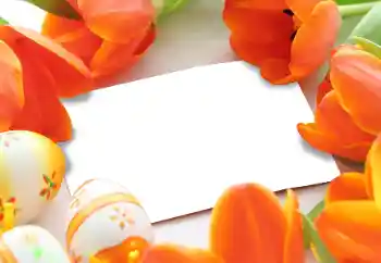 Kesan foto daripada kategori Kad ucapan Easter № 93170