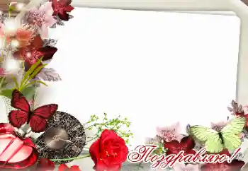 Kesan foto daripada kategori Pelbagai perayaan № 159471. Tulisan pada bingkai: Tahniah!