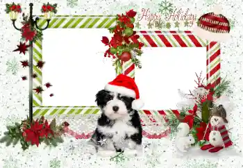 Kesan foto daripada kategori Pelbagai perayaan № 163336. Tulisan pada bingkai: Happy Holidays
