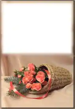 Kesan foto daripada kategori Pelbagai perayaan № 171774