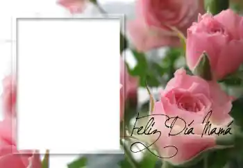 Kesan foto daripada kategori Pelbagai perayaan № 60152. Tulisan pada bingkai: Selamat Hari Ibu!!! Kesan foto daripada kategori Pelbagai perayaan № 60152. Tulisan pada bingkai: Selamat Hari Ibu!!!