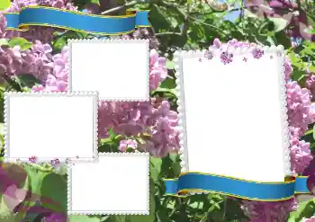 Kesan foto daripada kategori Pelbagai sekolah № 205360