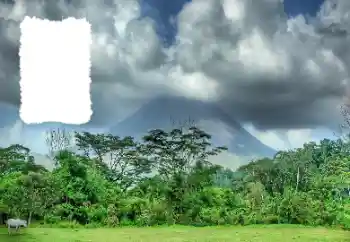 Kesan foto daripada kategori Musim panas № 114456