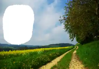 Kesan foto daripada kategori Musim panas № 114551