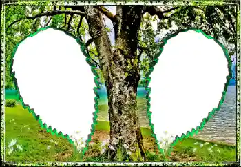Kesan foto daripada kategori Musim panas № 123182 Kesan foto daripada kategori Musim panas № 123182