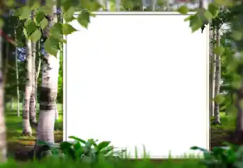 Kesan foto daripada kategori Musim panas № 128567 Kesan foto daripada kategori Musim panas № 128567