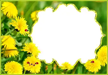 Kesan foto daripada kategori Musim panas № 132994