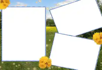 Kesan foto daripada kategori Musim panas № 13915