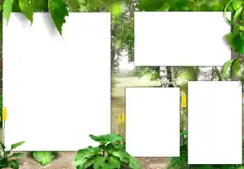 Kesan foto daripada kategori Musim panas № 141163 Kesan foto daripada kategori Musim panas № 141163