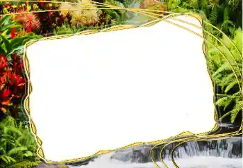 Kesan foto daripada kategori Musim panas № 14917 Kesan foto daripada kategori Musim panas № 14917