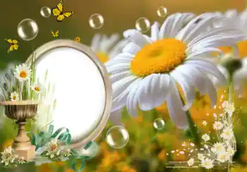 Kesan foto daripada kategori Musim panas № 153157